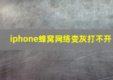 iphone蜂窝网络变灰打不开