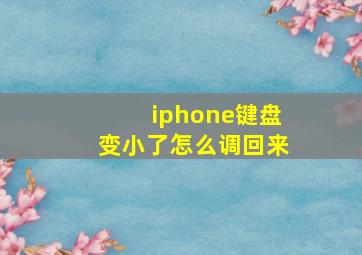 iphone键盘变小了怎么调回来