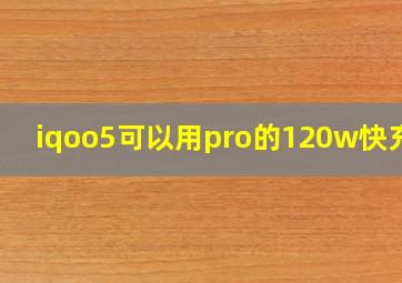 iqoo5可以用pro的120w快充吗