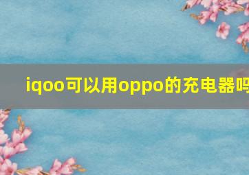 iqoo可以用oppo的充电器吗