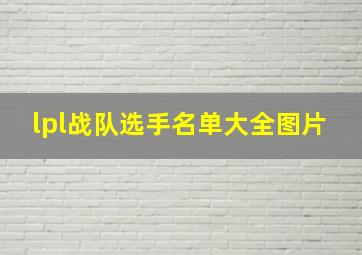 lpl战队选手名单大全图片