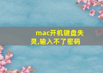 mac开机键盘失灵,输入不了密码