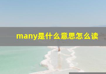 many是什么意思怎么读