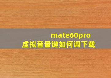 mate60pro虚拟音量键如何调下载