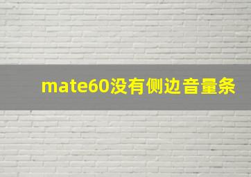 mate60没有侧边音量条