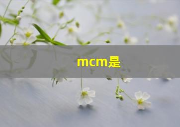 mcm是