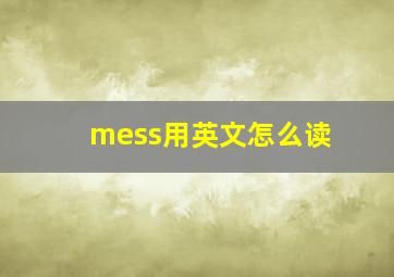 mess用英文怎么读