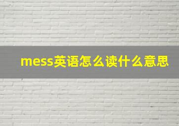 mess英语怎么读什么意思