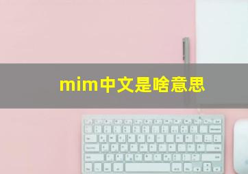 mim中文是啥意思