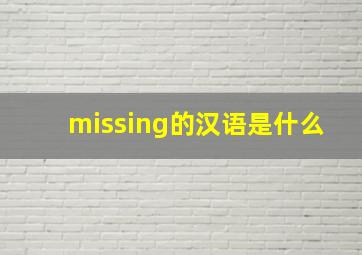 missing的汉语是什么