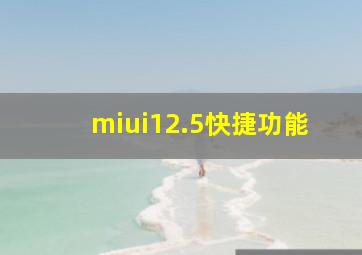 miui12.5快捷功能