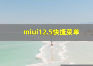 miui12.5快捷菜单