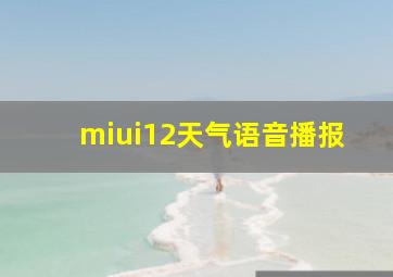 miui12天气语音播报