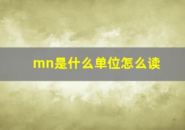 mn是什么单位怎么读