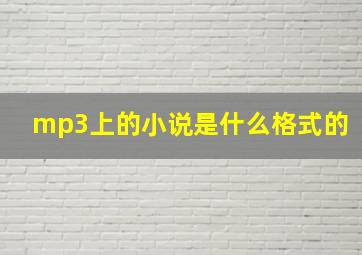 mp3上的小说是什么格式的