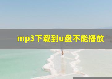 mp3下载到u盘不能播放