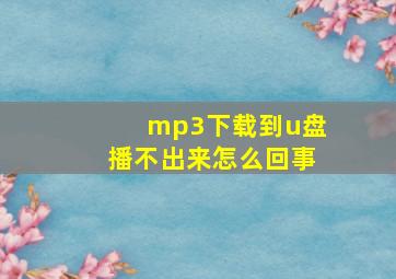 mp3下载到u盘播不出来怎么回事