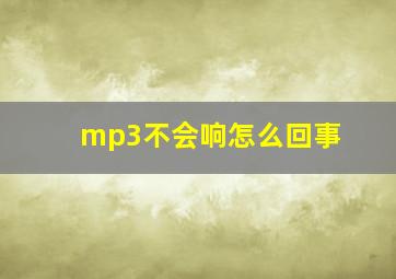 mp3不会响怎么回事