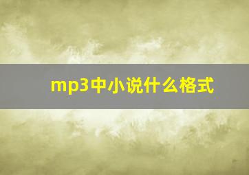 mp3中小说什么格式