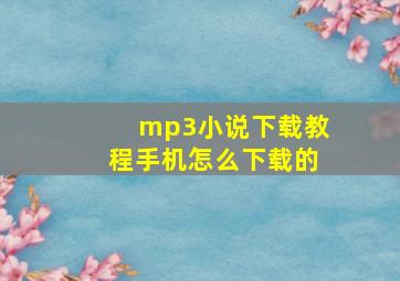 mp3小说下载教程手机怎么下载的