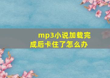 mp3小说加载完成后卡住了怎么办