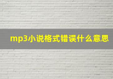 mp3小说格式错误什么意思