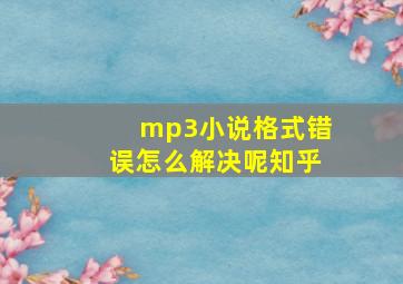 mp3小说格式错误怎么解决呢知乎