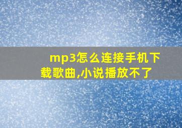 mp3怎么连接手机下载歌曲,小说播放不了