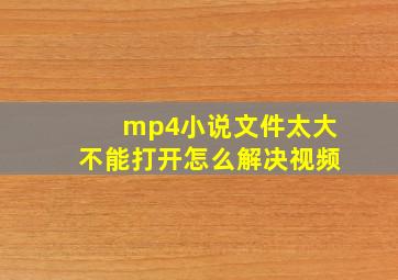 mp4小说文件太大不能打开怎么解决视频