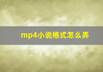 mp4小说格式怎么弄