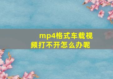 mp4格式车载视频打不开怎么办呢