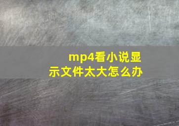 mp4看小说显示文件太大怎么办