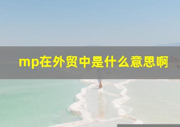 mp在外贸中是什么意思啊