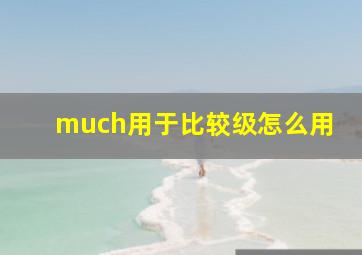 much用于比较级怎么用