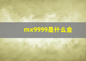 mx9999是什么金