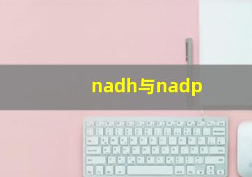 nadh与nadp