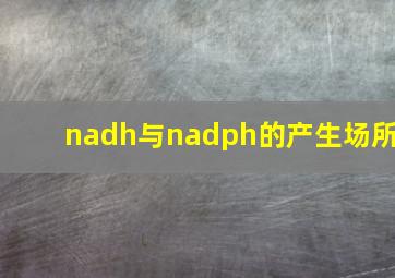 nadh与nadph的产生场所