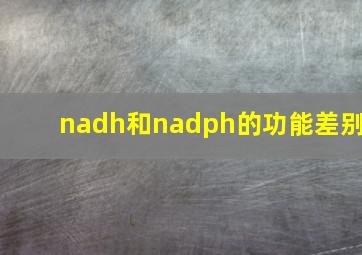 nadh和nadph的功能差别