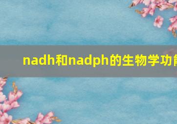 nadh和nadph的生物学功能