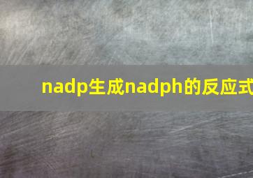 nadp生成nadph的反应式