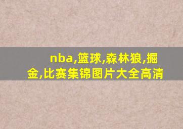 nba,篮球,森林狼,掘金,比赛集锦图片大全高清