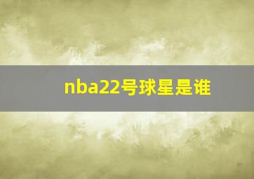 nba22号球星是谁