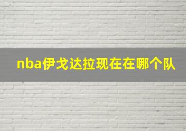 nba伊戈达拉现在在哪个队