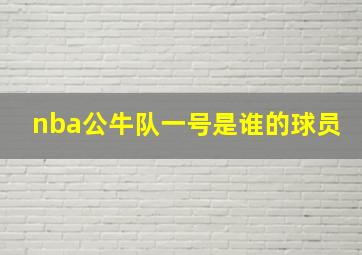 nba公牛队一号是谁的球员