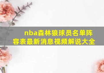 nba森林狼球员名单阵容表最新消息视频解说大全