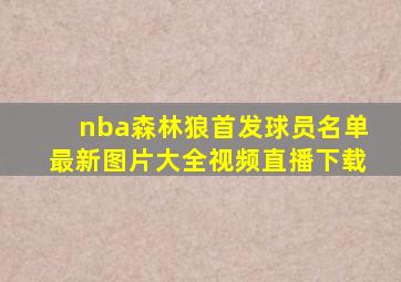 nba森林狼首发球员名单最新图片大全视频直播下载