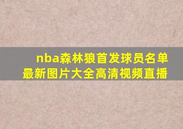 nba森林狼首发球员名单最新图片大全高清视频直播