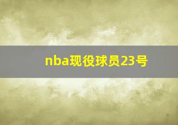 nba现役球员23号