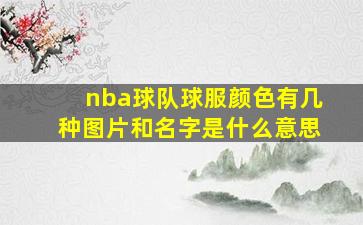 nba球队球服颜色有几种图片和名字是什么意思