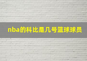 nba的科比是几号篮球球员